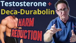 Testosterone  DecaDurabolin  Harm Reduction [upl. by Prisca963]