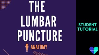 The Lumbar Puncture  Anatomy Tutorial [upl. by Adara]