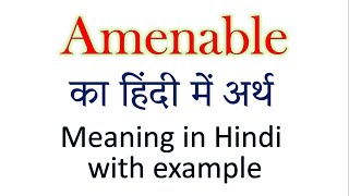 Amenable meaning in Hindi  Explained Amenable With Using Sentence [upl. by Nysilla]