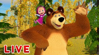 Masha and the Bear 🎬💥 LIVE STREAM 💥🎬 Best cartoons for children [upl. by Christophe767]