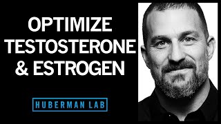 The Science of How to Optimize Testosterone amp Estrogen [upl. by Elatan989]