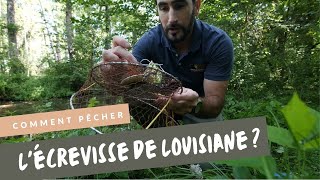 Comment pêcher des écrevisses de Louisiane à la balance  Ma technique de pêche à lécrevisse [upl. by Lizned906]