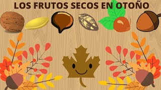 LOS FRUTOS SECOS EN OTOÑO PARA NIÑOSEN ESPAÑOL [upl. by Cross481]