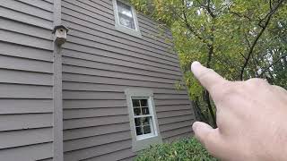 How to keep woodpeckers off your house  Bird B Gone [upl. by Ackerley]