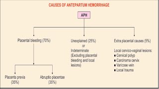 ANTEPARTUM HEMORRHAGE [upl. by Glorianna]