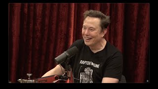 Joe Rogan Experience 2281  Elon Musk [upl. by Nageam908]