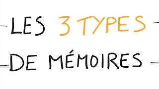 Neurosciences  Vos 3 Types de Mémoires [upl. by Hazeefah]