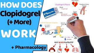 How Does Clopidogrel Antiplatelets Work  Pharmacology [upl. by Oivaf]