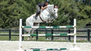 Horse Jumps ProTips  RideACourse with Todd Minikus [upl. by Patt]