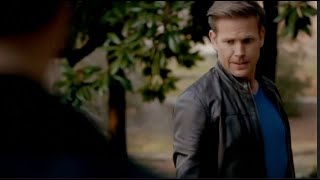 The Vampire Diaries Alaric Fight Scenes and Abilities [upl. by Hayton719]