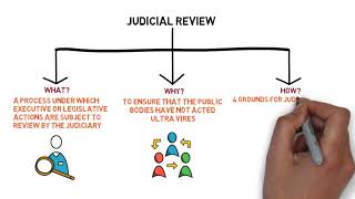 Public Law  Chapter 8 Judicial Review Degree  Year 1 [upl. by Aisercal913]