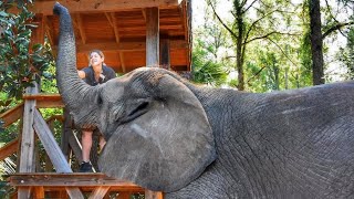 MYRTLE BEACH SAFARI behind the scenes VIP TOUR [upl. by Gorden250]