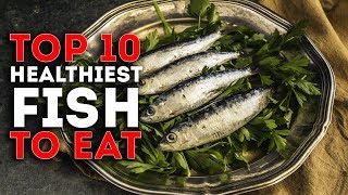 Top 10 Healthiest Fish To Eat [upl. by Hayott]