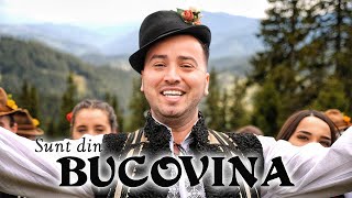 Alexandru Bradatan  Sunt din Bucovina [upl. by Emelen]