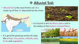 Soils of India CBSE SSTEVS Class 4 [upl. by Bear]