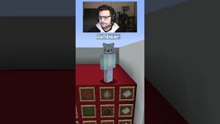 WALLIBEAR TAKES ON MOB ARENA gaming ⁠youtube funny minecraft memes tiktok shorts ytshorts [upl. by Rimat]