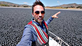 Why Are 96000000 Black Balls on This Reservoir [upl. by Pavier]