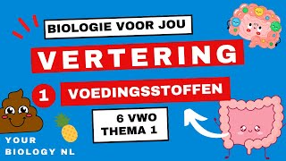 6 vwo  Vertering  1  Voedingsstoffen [upl. by Damian]