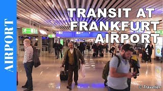 TRANSIT WALK AT FRANKFURT Airport FRA Terminal 1  Connection Flight Transfer Arriving amp Departing [upl. by Nipha]