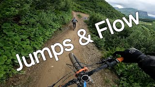 Panoramic Jumps amp Flow  Chatel Bike Park [upl. by Einegue679]