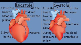 Diastole vs Systole  Human Heart [upl. by Paulita]