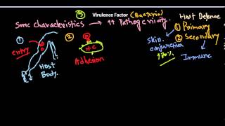 Virulence factors of bacteria [upl. by Ihskaneem762]