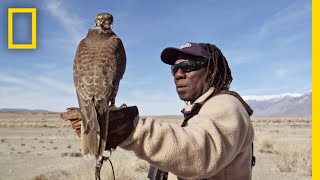 Hunting With Falcons How One City Man Found His Calling in the Wild  Short Film Showcase [upl. by Eloken689]