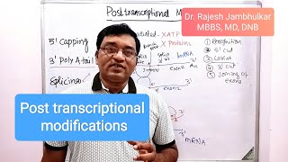 5 Post transcriptional modifications [upl. by Aneerb]