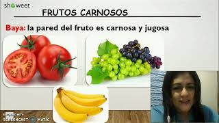 Tipos de frutos [upl. by Gerek261]