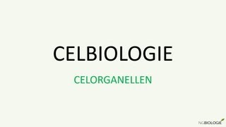 Celbiologie  celorganellen [upl. by Lrac]